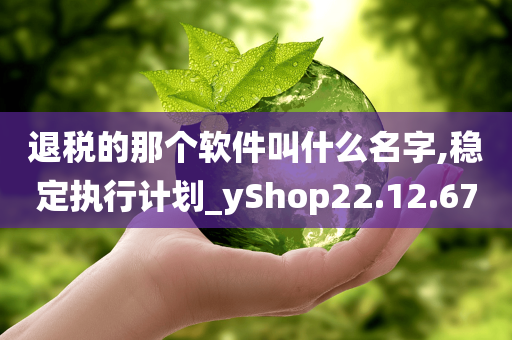 退税的那个软件叫什么名字,稳定执行计划_yShop22.12.67