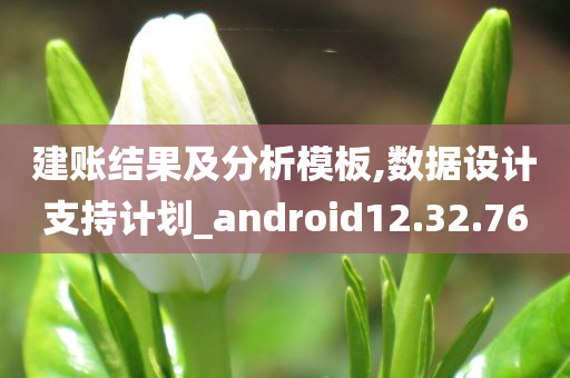 建账结果及分析模板,数据设计支持计划_android12.32.76