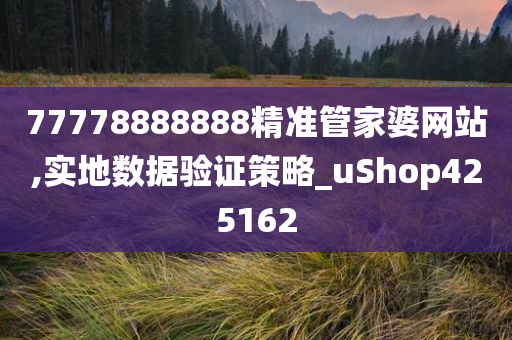 77778888888精准管家婆网站,实地数据验证策略_uShop425162