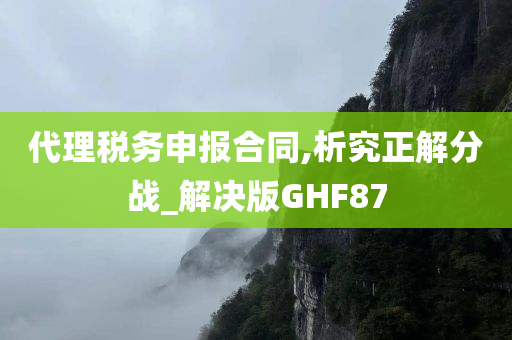 代理税务申报合同,析究正解分战_解决版GHF87