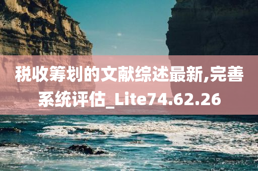 税收筹划的文献综述最新,完善系统评估_Lite74.62.26