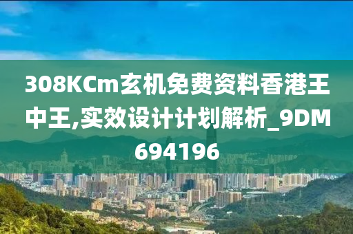 308KCm玄机免费资料香港王中王,实效设计计划解析_9DM694196