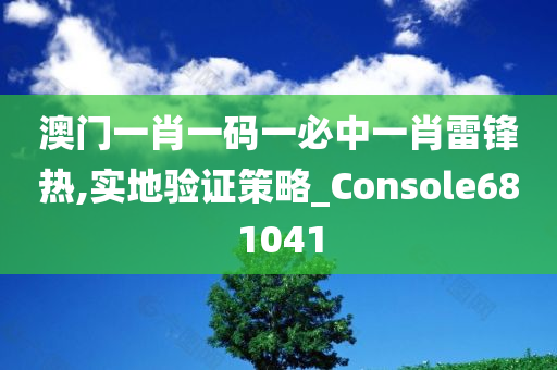 澳门一肖一码一必中一肖雷锋热,实地验证策略_Console681041