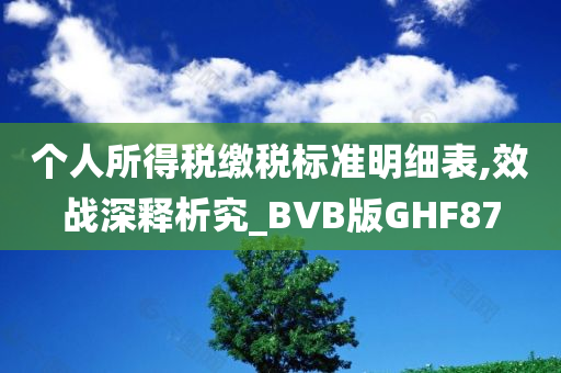 个人所得税缴税标准明细表,效战深释析究_BVB版GHF87