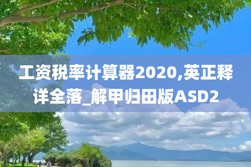 工资税率计算器2020,英正释详全落_解甲归田版ASD2