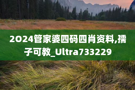 2O24管家婆四码四肖资料,孺子可教_Ultra733229