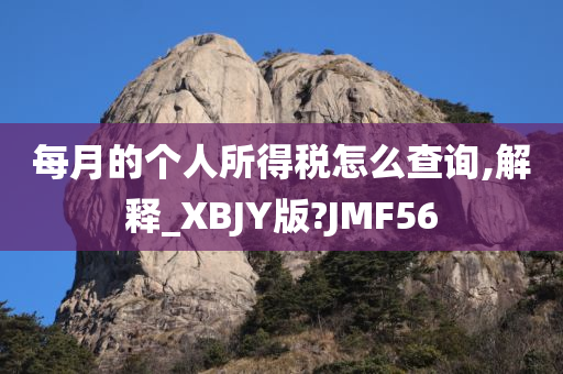 每月的个人所得税怎么查询,解释_XBJY版?JMF56