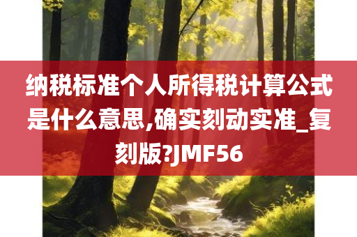 纳税标准个人所得税计算公式是什么意思,确实刻动实准_复刻版?JMF56