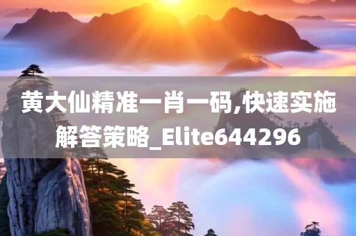 黄大仙精准一肖一码,快速实施解答策略_Elite644296