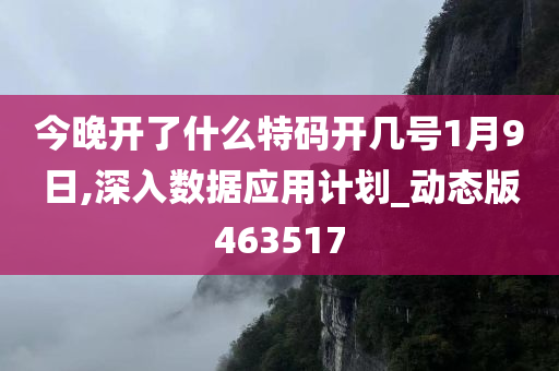 今晚开了什么特码开几号1月9日,深入数据应用计划_动态版463517