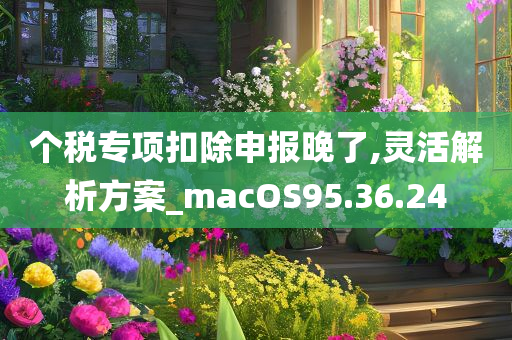 个税专项扣除申报晚了,灵活解析方案_macOS95.36.24