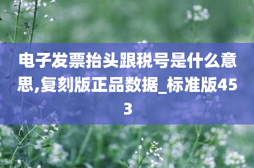 电子发票抬头跟税号是什么意思,复刻版正品数据_标准版453