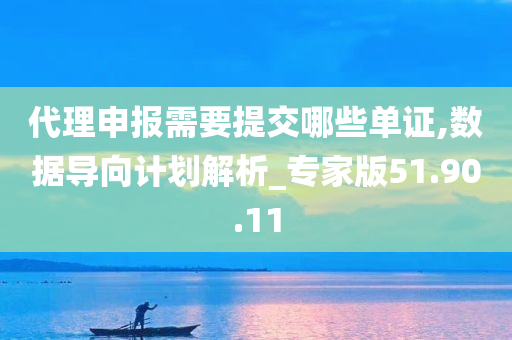 代理申报需要提交哪些单证,数据导向计划解析_专家版51.90.11