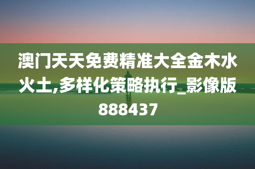 澳门天天免费精准大全金木水火土,多样化策略执行_影像版888437