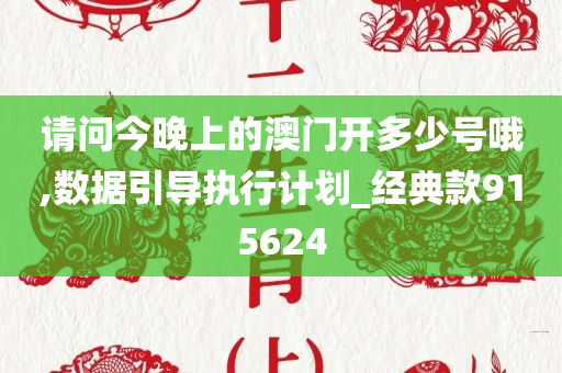 请问今晚上的澳门开多少号哦,数据引导执行计划_经典款915624