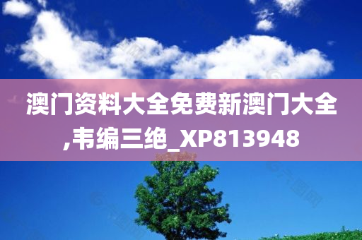 澳门资料大全免费新澳门大全,韦编三绝_XP813948