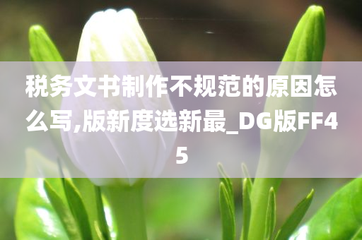 税务文书制作不规范的原因怎么写,版新度选新最_DG版FF45