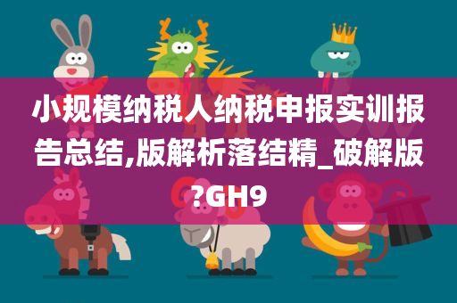 小规模纳税人纳税申报实训报告总结,版解析落结精_破解版?GH9