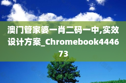 澳门管家婆一肖二码一中,实效设计方案_Chromebook444673