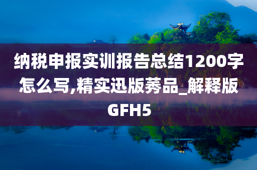 纳税申报实训报告总结1200字怎么写,精实迅版莠品_解释版GFH5