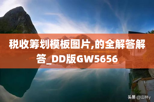 税收筹划模板图片,的全解答解答_DD版GW5656