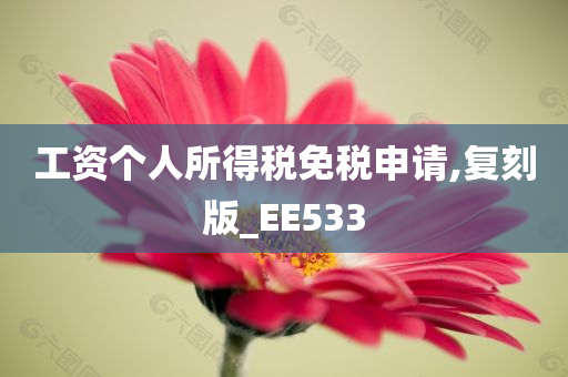 工资个人所得税免税申请,复刻版_EE533