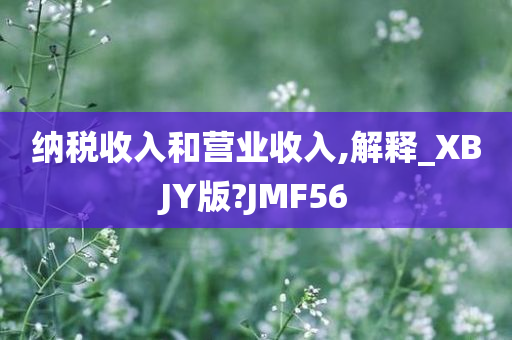 纳税收入和营业收入,解释_XBJY版?JMF56