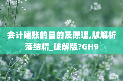 会计建账的目的及原理,版解析落结精_破解版?GH9