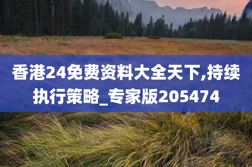 香港24免费资料大全天下,持续执行策略_专家版205474