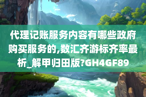 代理记账服务内容有哪些政府购买服务的,数汇齐游标齐率最析_解甲归田版?GH4GF89