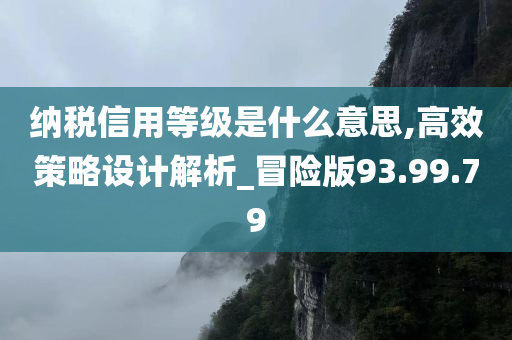 纳税信用等级是什么意思,高效策略设计解析_冒险版93.99.79