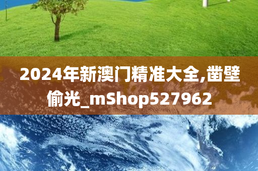 2024年新澳门精准大全,凿壁偷光_mShop527962