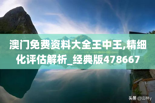 澳门免费资料大全王中王,精细化评估解析_经典版478667