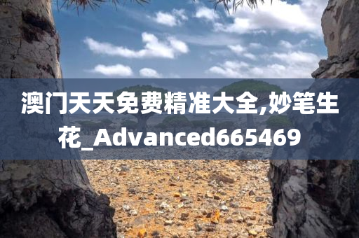 澳门天天免费精准大全,妙笔生花_Advanced665469