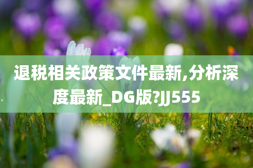 退税相关政策文件最新,分析深度最新_DG版?JJ555