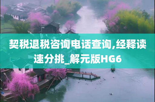 契税退税咨询电话查询,经释读速分挑_解元版HG6