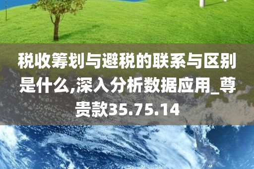 税收筹划与避税的联系与区别是什么,深入分析数据应用_尊贵款35.75.14