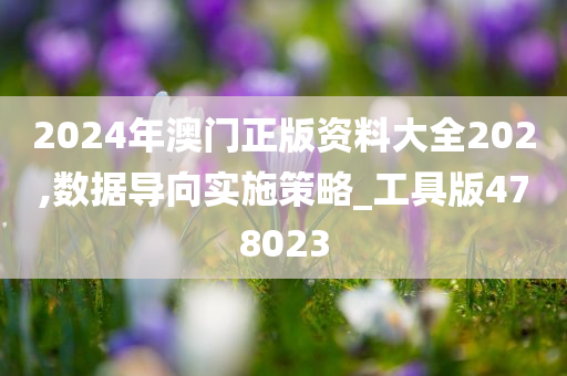 2024年澳门正版资料大全202,数据导向实施策略_工具版478023