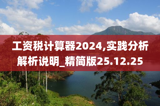 工资税计算器2024,实践分析解析说明_精简版25.12.25