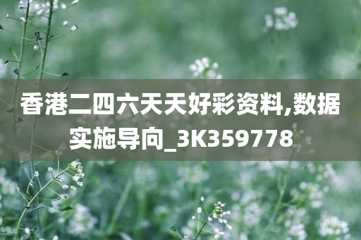 香港二四六天天好彩资料,数据实施导向_3K359778