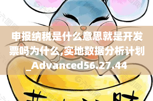 申报纳税是什么意思就是开发票吗为什么,实地数据分析计划_Advanced56.27.44