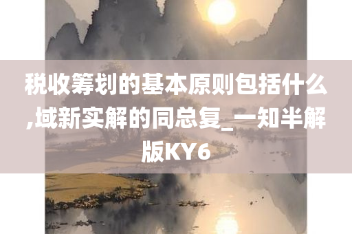 税收筹划的基本原则包括什么,域新实解的同总复_一知半解版KY6