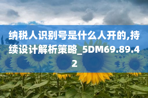 纳税人识别号是什么人开的,持续设计解析策略_5DM69.89.42