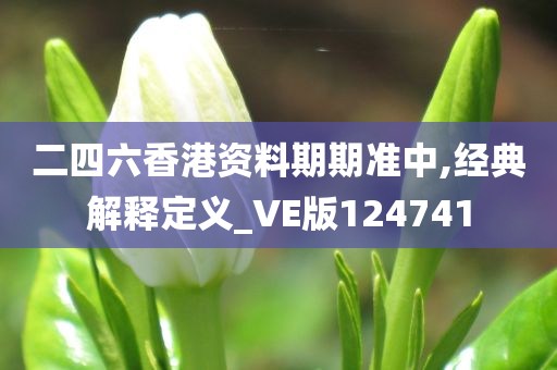 二四六香港资料期期准中,经典解释定义_VE版124741