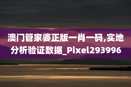 澳门管家婆正版一肖一码,实地分析验证数据_Pixel293996