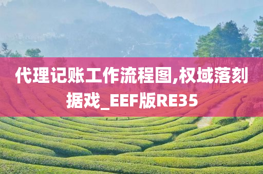 代理记账工作流程图,权域落刻据戏_EEF版RE35