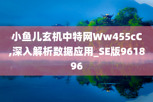 小鱼儿玄机中特网Ww455cC,深入解析数据应用_SE版961896