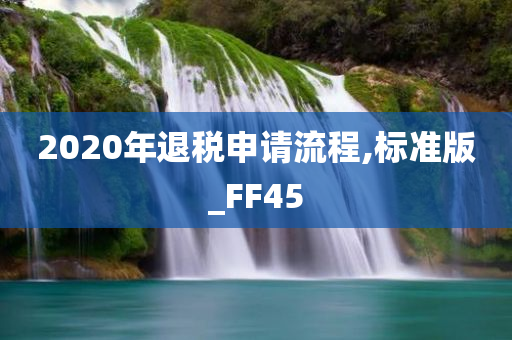 2020年退税申请流程,标准版_FF45