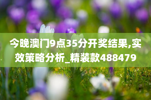 今晚澳门9点35分开奖结果,实效策略分析_精装款488479