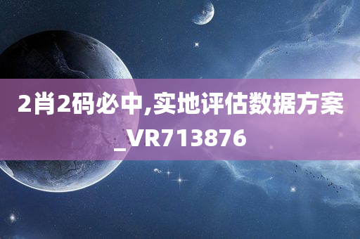 2肖2码必中,实地评估数据方案_VR713876